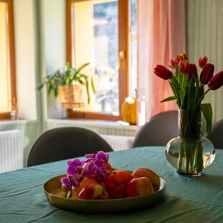 гагинската къща Martinovo