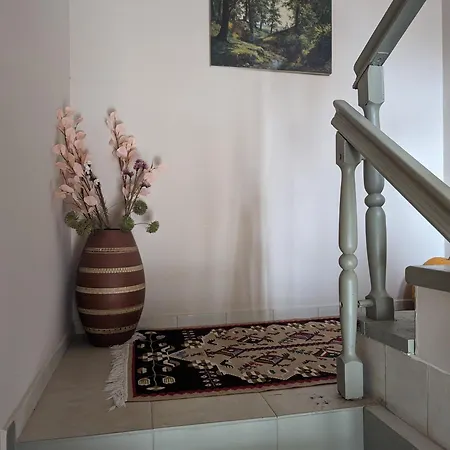 гагинската къща *