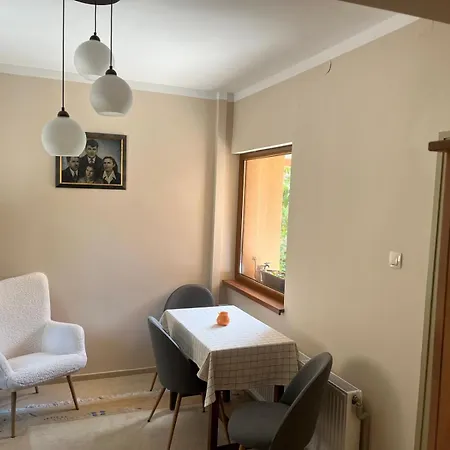 гагинската къща *