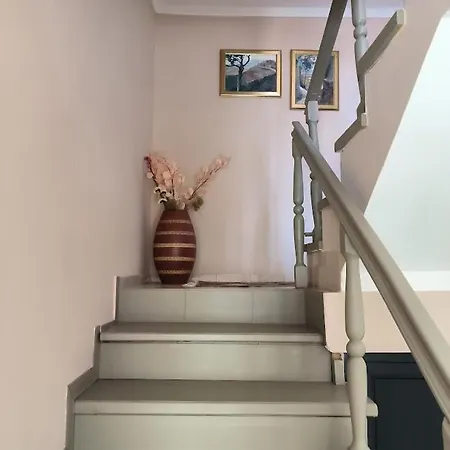 гагинската къща *