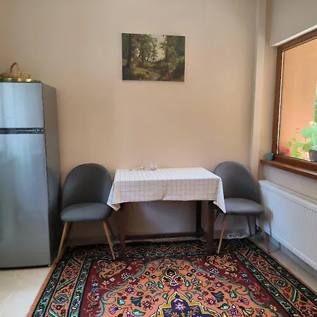 гагинската къща Holiday home *