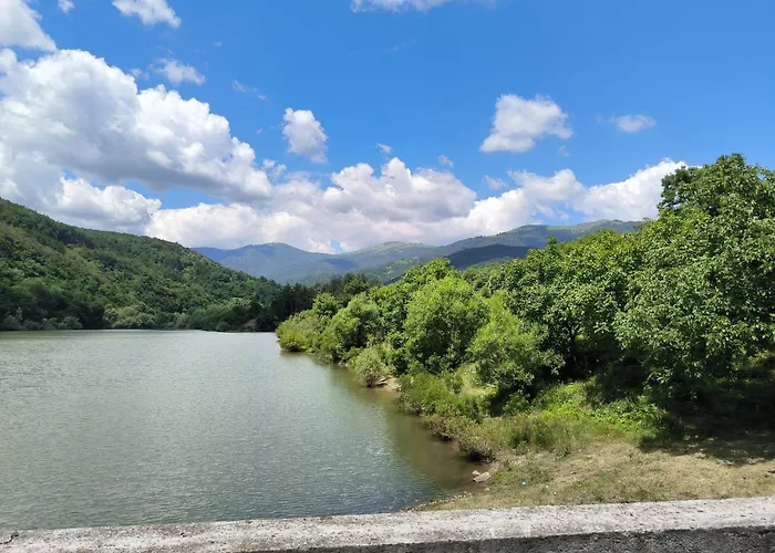 Semesterbostad гагинската къща Vlashko Selo