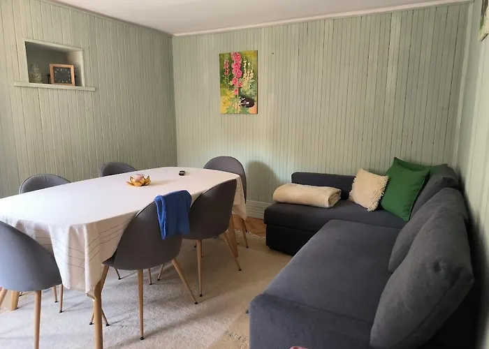 Semesterbostad гагинската къща Vlashko Selo